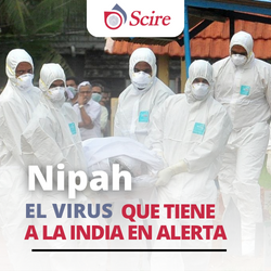 Nipah el Virus que tiene en alerta a la INDIA